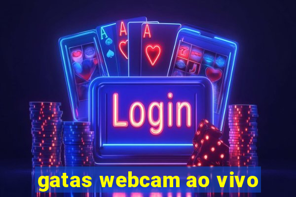 gatas webcam ao vivo